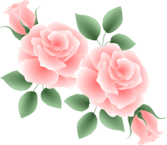 すき焼き ツナとアボカドのわさびマヨあえ うちごはんはマーシャもいっしょ すき焼き ツナとアボカドのわさびマヨあえ うちごはんはマーシャもいっしょ