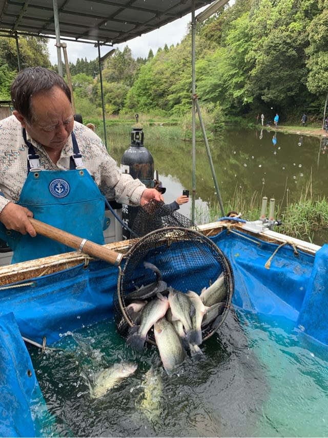 ５月2日バス放流済 本日好調 釣パラダイス 山武市にあるつりぼり屋さん