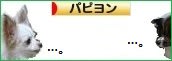 にほんブログ村 犬ブログ パピヨンへ