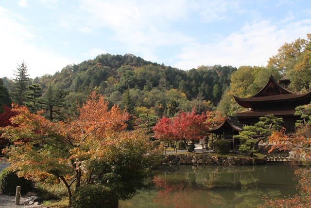 koyo20151107007.jpg