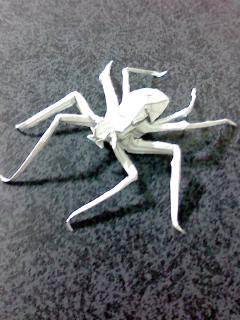 蜘蛛 クモ 折紙時代