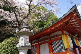 鞍馬寺 の 奥の院参道 へ 牛若丸が天狗に剣術を習った場所 パワーの強い魔王殿へ ネコのミモロのjapan Travel ｍｉｍｏｒｏ ｔｈｅ ｃａｔ Japan Travel