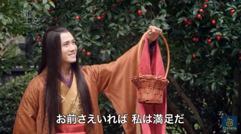 中国ドラマ「蘭陵王妃」 全47話 ☆９つ - ひっくり返ったおもちゃ箱