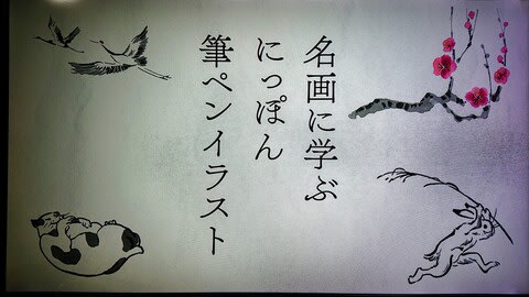 カエルがパラシュートで空を飛ぶ ト キ オ Saoの猫日和