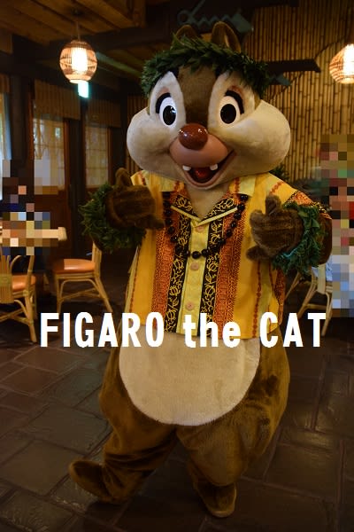ルアウ ファンでハッピーグリ ２０１５年９月 Figaro The Cat