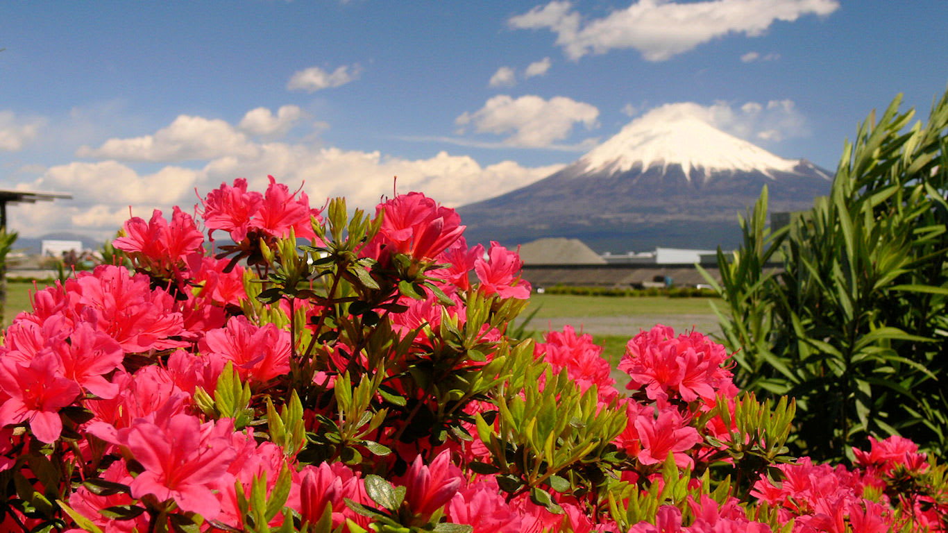 赤い花と富士山 パソコンときめき応援団 壁紙写真館