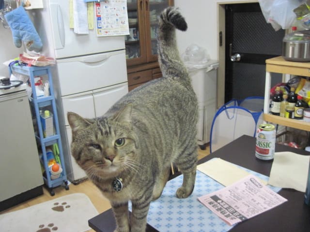イメージ 1