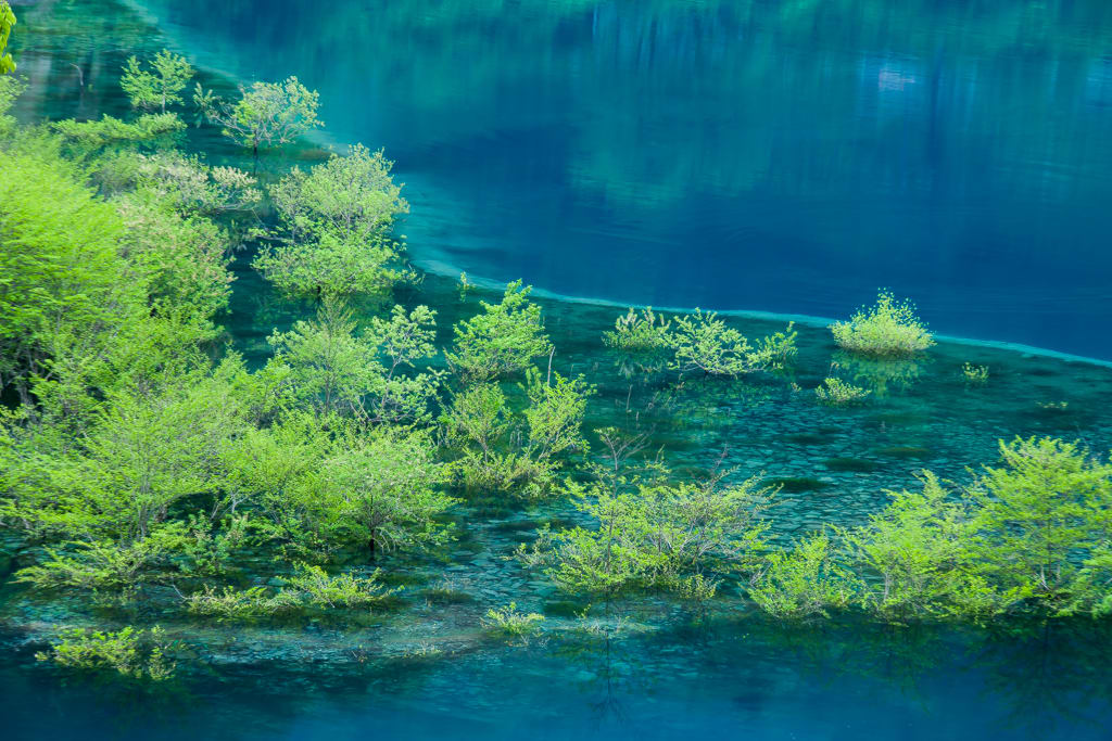 奥四万湖/浮島