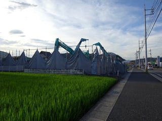 解体D
