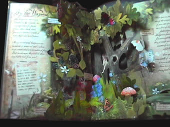 フラワー フェアリーズ 花の妖精たち 飛び出す絵本の本棚 ポップアップカード手作り モールアート手作り