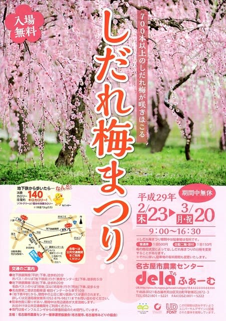 楽書き雑記 23日から名古屋市農業センターの しだれ梅まつり 気になる開花状況は 風の遊子 ゆうし の楽がきノート