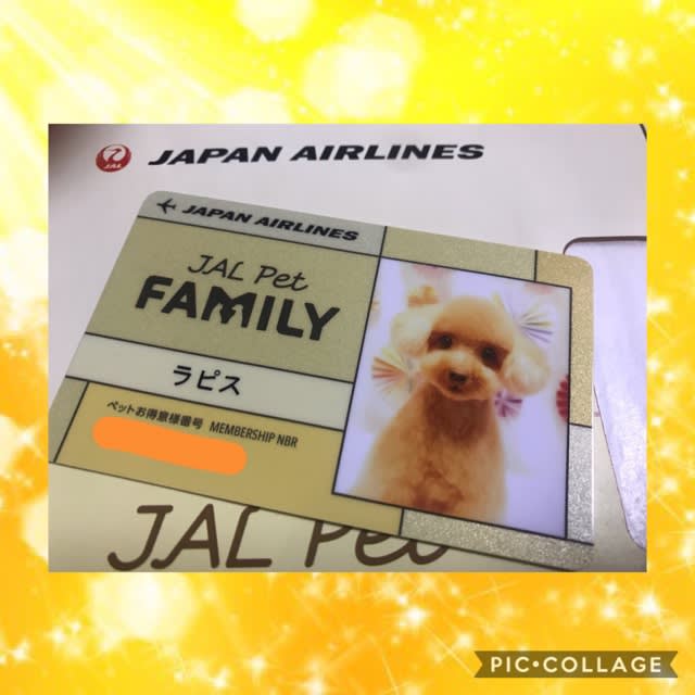 jal ペットファミリー 安井