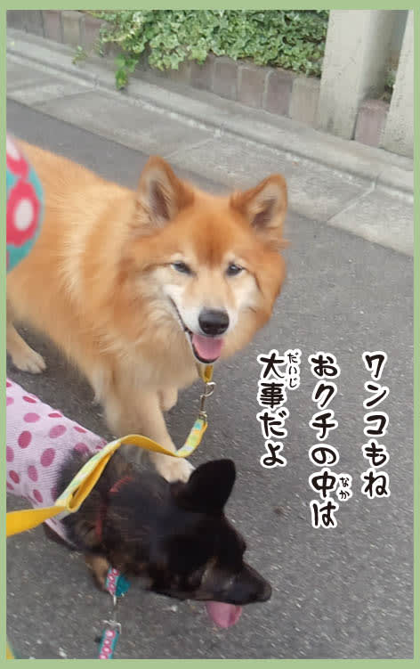 信じるか 信じないかは なに次第 雑種犬 風 ふう のひとりごと