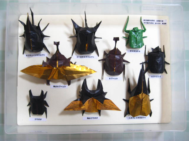 折り紙の昆虫標本 創作折り紙の折り方