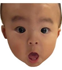 尻デカ 短足 歌 種 記 文 うたたね きぶん 尻デカ 短足 歌 種 記 文 うたたね きぶん