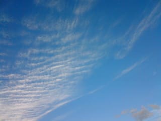 夏のうろこ雲 かおりのなんだりかんだり 夏のうろこ雲 かおりのなんだりかんだり