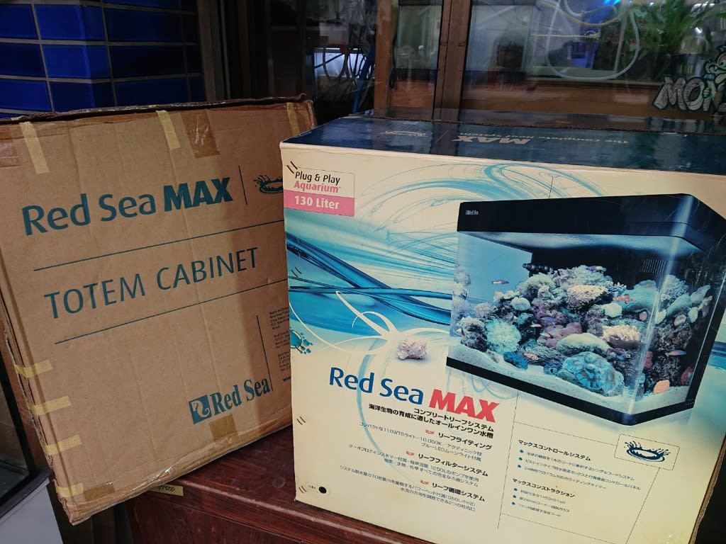 未使用RedSea 海水魚用オールインワン水槽 MAX130 - モンスターアクアリウム&レプタイルズ 買取販売情報
