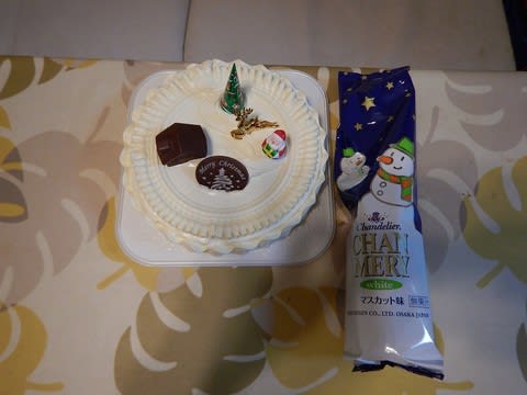 公約通りの値引きのクリスマスケーキ 白井 一裕 社長のブログ