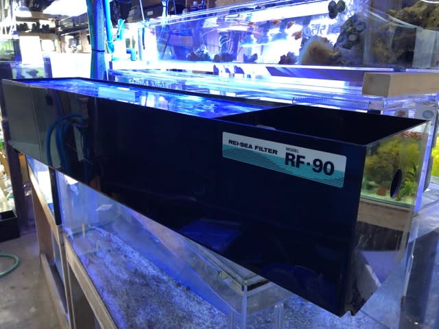 中古レイシーrf90上部フィルターboxのみ 熱帯魚店モンスターアクアリウム 川口店 買取販売情報