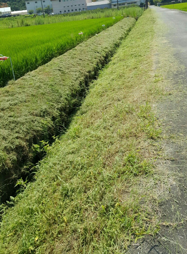 真夏日の畦道と農道端の草刈り作業 一郎三郎のホッホッホー