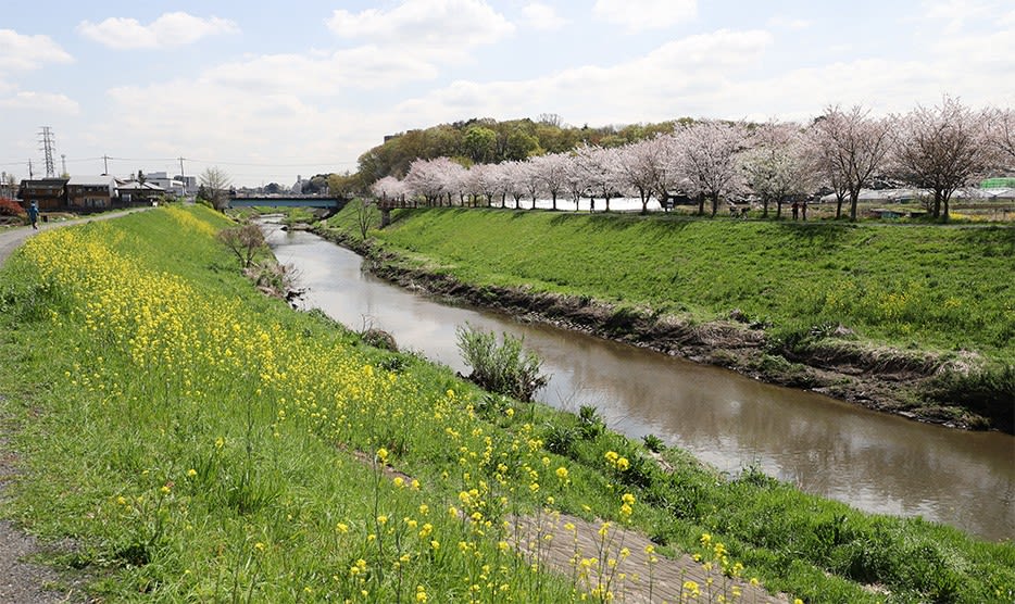 春の小川 的春景色 ツーリングアローン ブログ