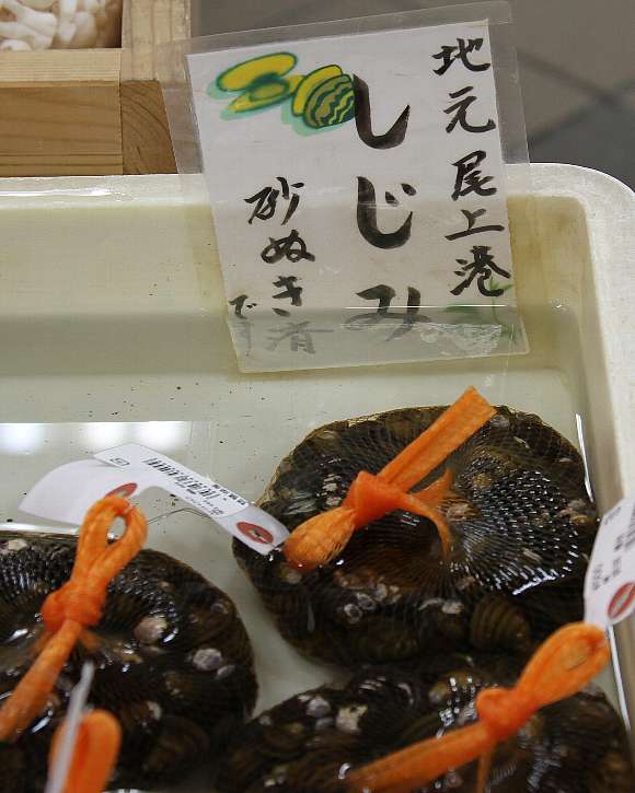 石貝 天 地 水 命 自然の恵み 石貝 天 地 水 命 自然の恵み