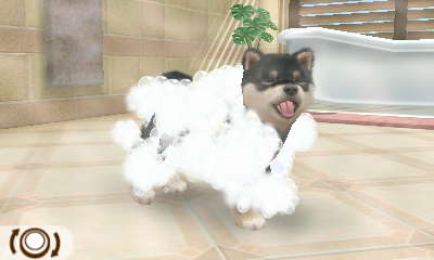 Nintendogs Cats のブログ記事一覧 3ページ目 Netgame Diary Nintendogs Cats のブログ記事一覧 3ページ目 Netgame Diary