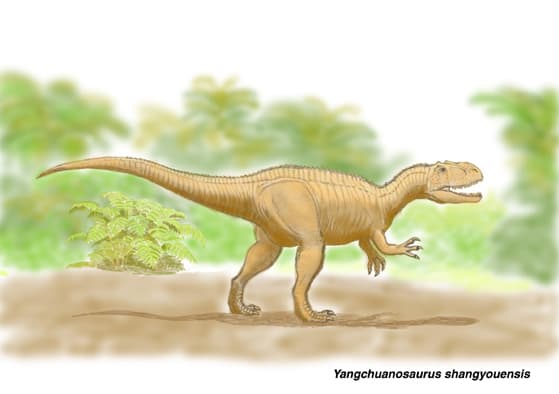 ヤンチュアノサウルス１ 肉食の系譜