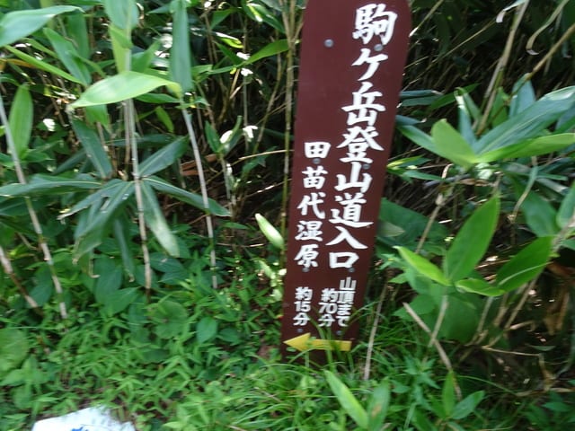 DSC02235.JPG