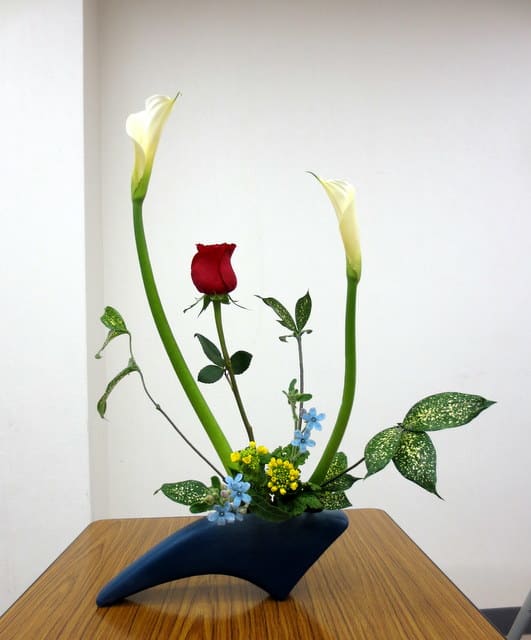 カラーとブルースター の春らしい自由花 池坊 花のあけちゃんブログ明田眞子 花 の力は素晴らしい 広島で４０年 池坊いけばな教室 熱心な方々と楽しく生けてます