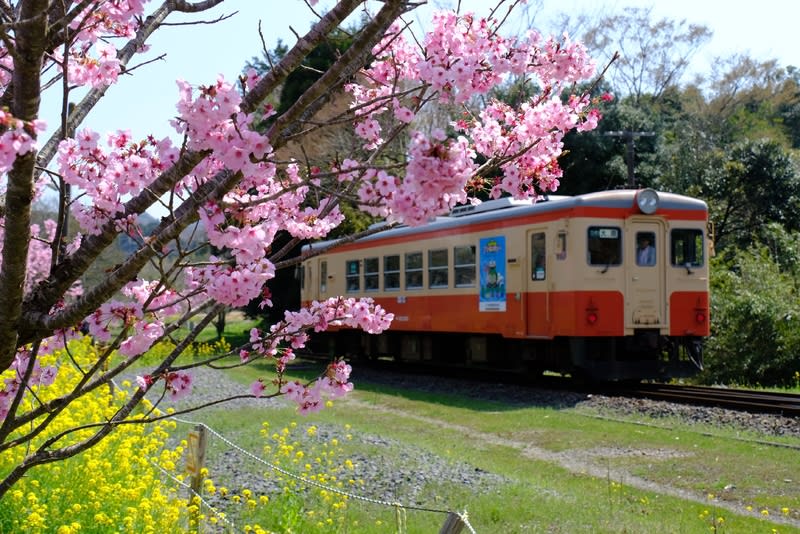 春の風景をゆく列車 はりさんの旅日記