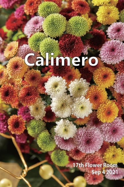 カリメロとは 花のある生活