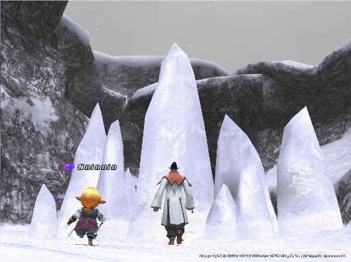 ついでにカミール山脈に初進入して氷砕スキルを Ff11 Tarutarus Farm