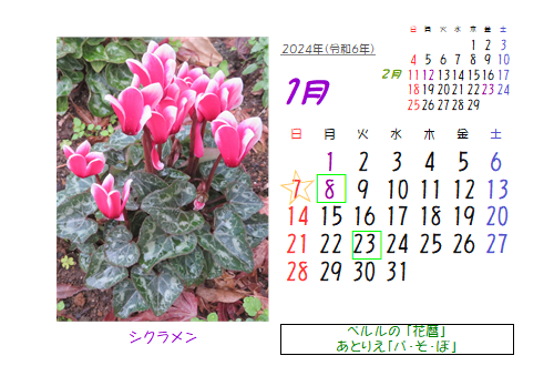 1月の花暦 Goo3