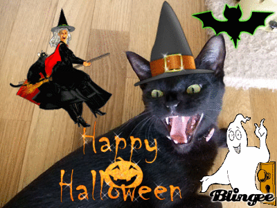 08年10月のブログ記事一覧 ミータワ ルド 08年10月のブログ記事一覧 ミータワ ルド