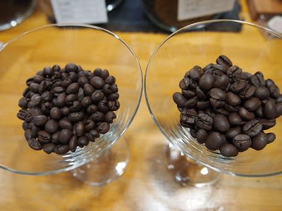 ピーベリーと通常の豆を並べてみました 倉敷天城おいしい珈琲焙煎所 パワープラントコーヒー 喫茶cafena