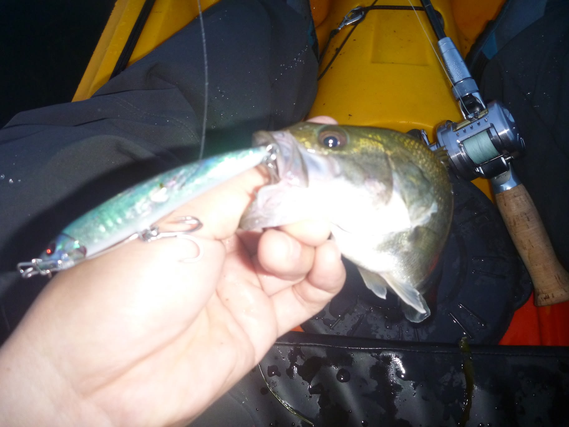 今年初のカヤック釣行 琵琶湖トップウォーターバス釣り日記