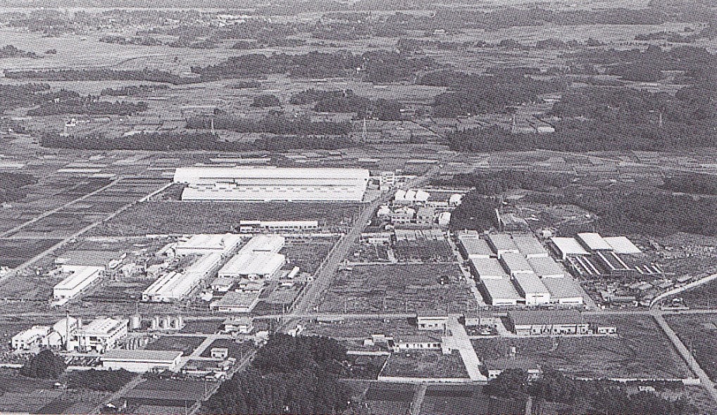 北区吉野町の吉野原工業団地が出来た頃 咲いた万歩