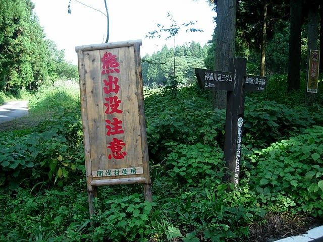 Dscn1080 Dscn1080