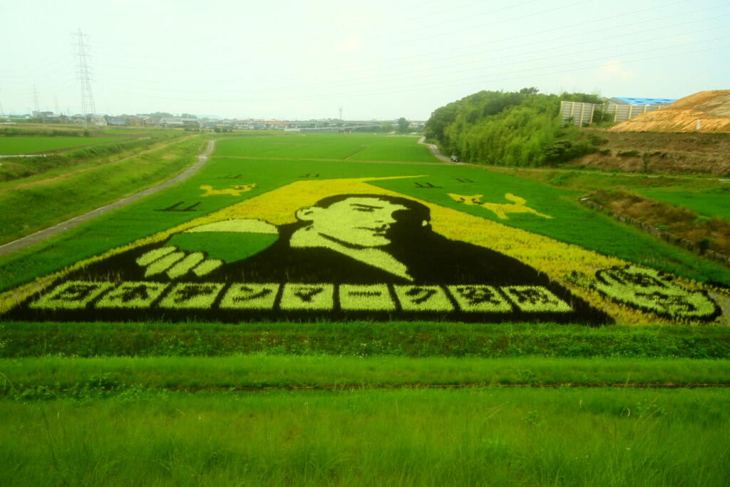 田圃アートの画像