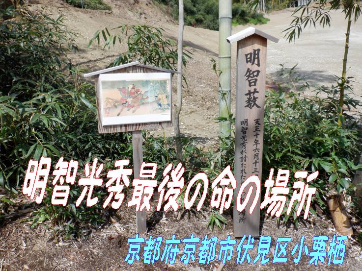 明智光秀最後の場所🐎「行ってきました」竹藪の地域で竹武器に刺された行けなかった坂本城 - いげのやま美化クラブ