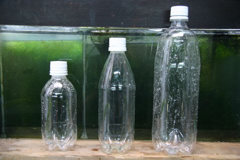 炭酸飲料のペットボトル 熱帯魚工作箱