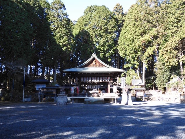 信楽高原鉄道の旅