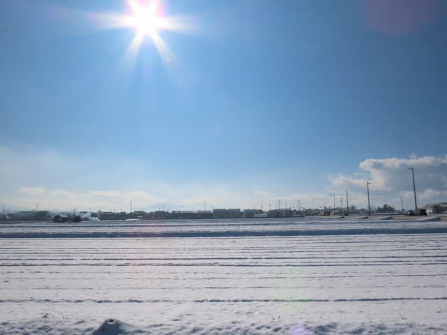 雪に覆われた田圃