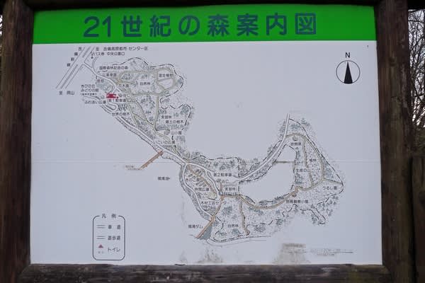 間に合いました ２１世紀の森 万華鏡