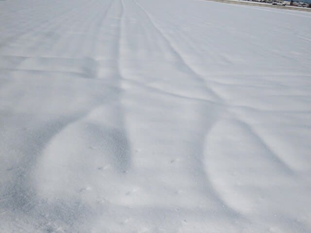 雪で覆われた田圃　長野県　松本市