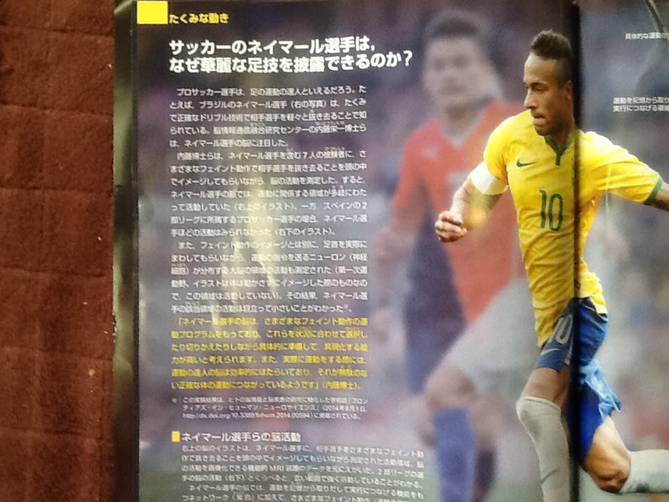 サッカーのネイマール選手の脳活動cerebral Campaign Of A Soccer Neimaru Player 倉富和子の女のひもとき In Usa