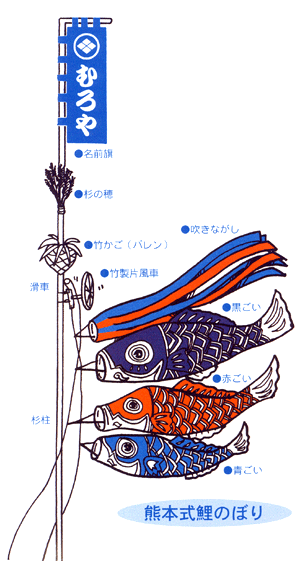 熊本式 鯉のぼり 富貴屋倶楽部