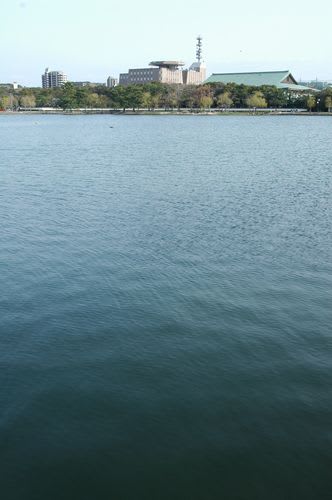 water006.jpg: 大濠池の水面