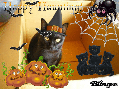 08年10月のブログ記事一覧 ミータワ ルド 08年10月のブログ記事一覧 ミータワ ルド